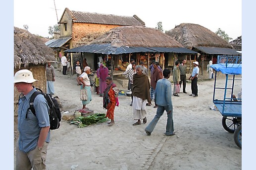 Viaggio in India 2008 - Sunderbans